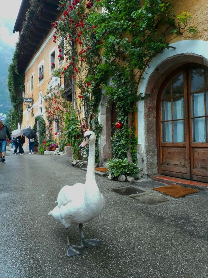 Braeugasthof Hallstatt Exteriér fotografie